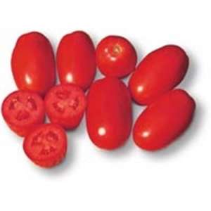 Классик F1 - томат детерминантный, драже 25 000 семян, Nunhems фото, цена